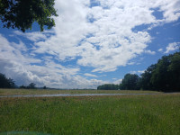 /album/2025/dorfwanderung-in-die-weisbach-2-jpg/